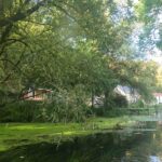 Cosmic Spa - online sound healing, kalibratie en verbinding